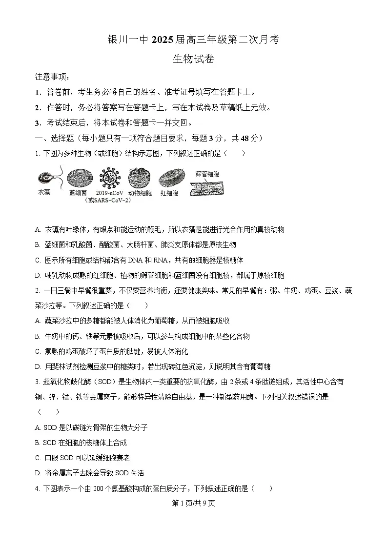 2025届宁夏银川一中高三下学期第二次月考-生物试卷（含答案 ）第1页