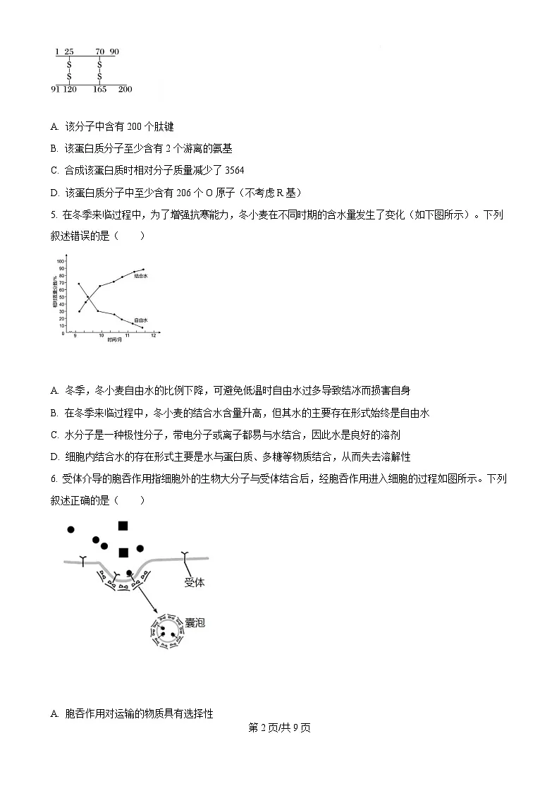 2025届宁夏银川一中高三下学期第二次月考-生物试卷（含答案 ）第2页