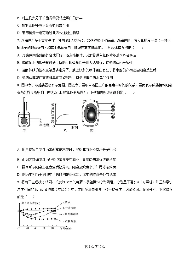 2025届宁夏银川一中高三下学期第二次月考-生物试卷（含答案 ）第3页