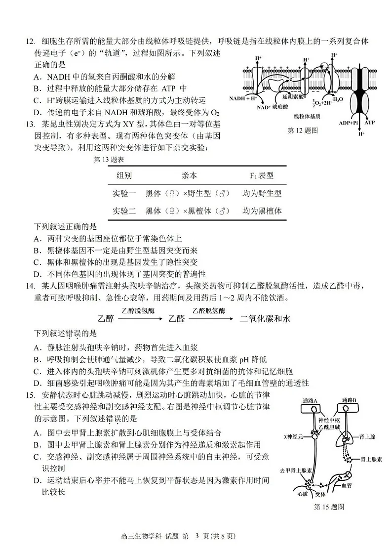 2025届浙南名校联盟高三下学期10月联考-生物试题（含答案）第3页