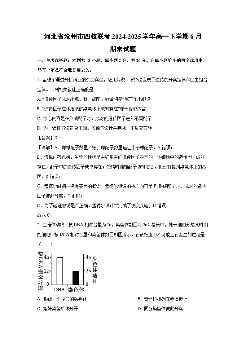 河北省沧州市四校联考2024-2025学年高一下学期6月期末生物试题（解析版）第1页