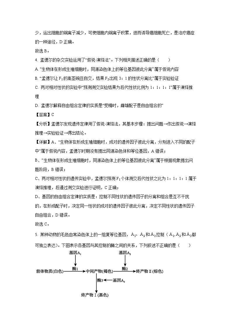 江西省赣州市上犹县上犹中学2024-2025学年高一下学期5月月考生物试题（解析版）第3页