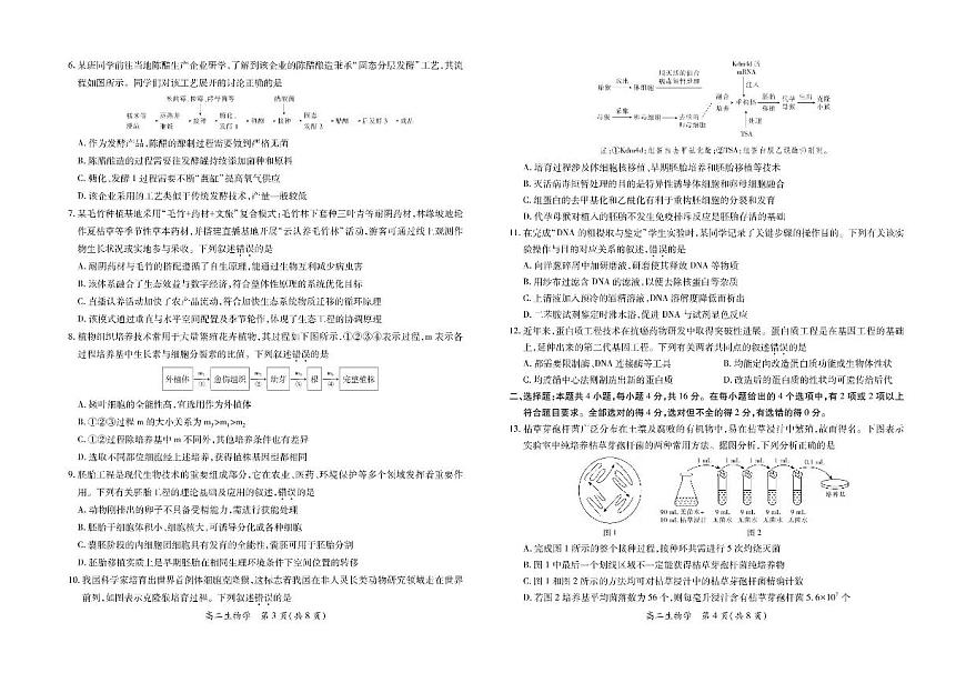 江西省上进联考2024-2025学年高二下学期6月期末生物试卷（含答案）第2页