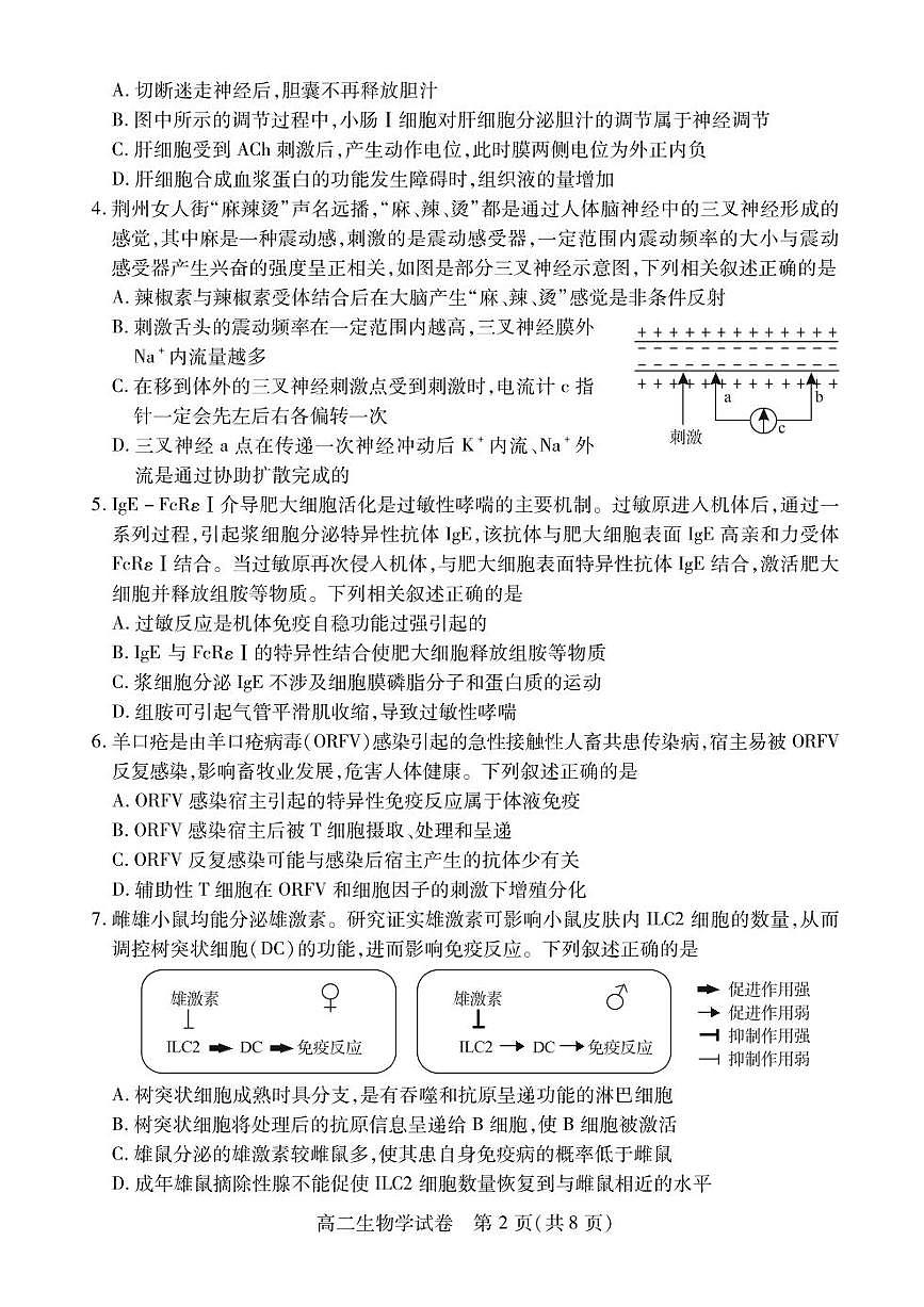 湖北省荆州市2024-2025学年高二下学期7月期末质量检测生物试题（含答案）第2页
