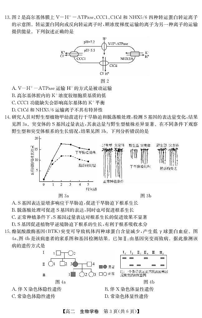 5466B 生物学第3页