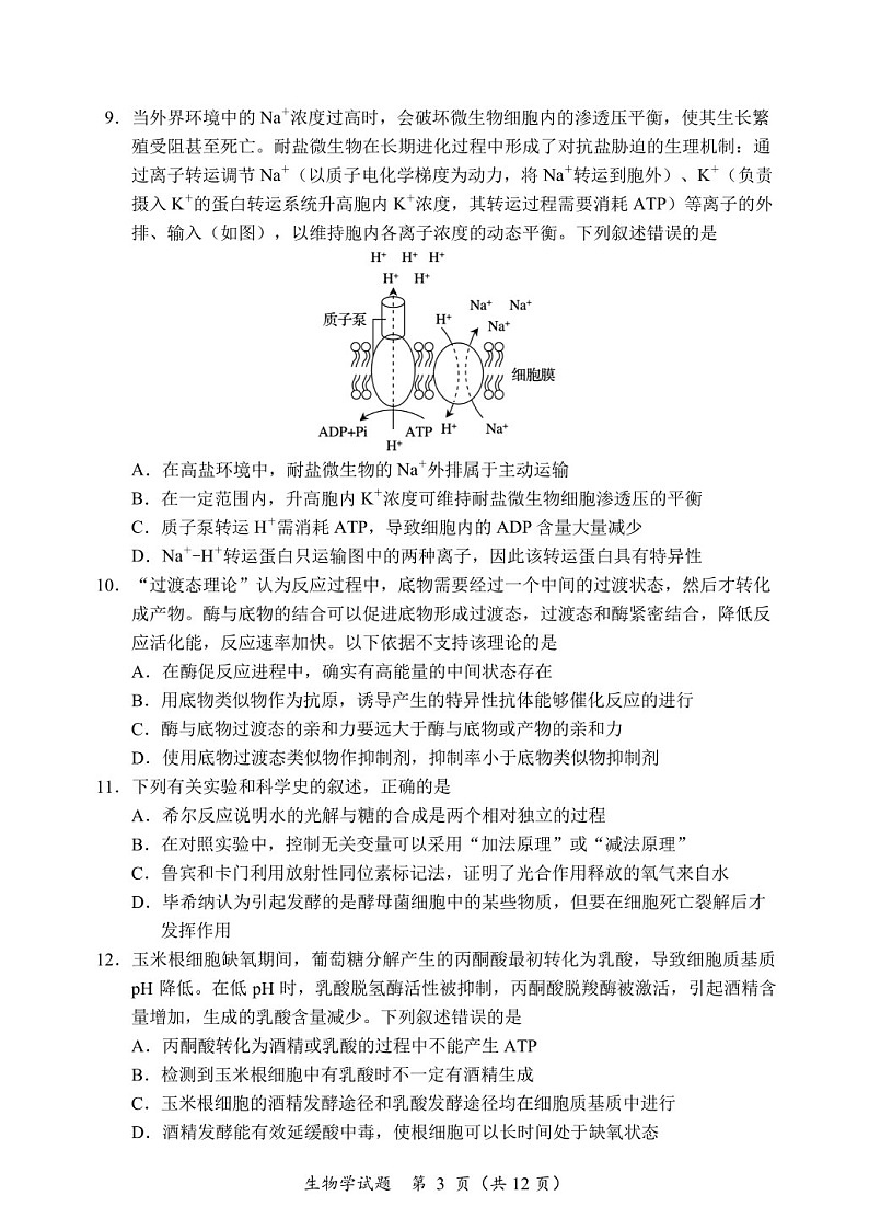 2025届黑龙江省龙东联盟高三下学期10月月考-生物试题（含答案）第3页