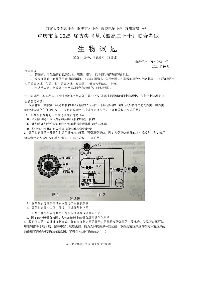 2025届重庆市拔尖强基联盟高三下学期10月联考-生物试题（含答案）第1页