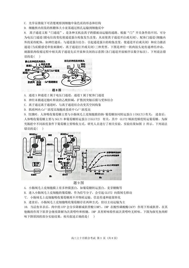 2025届重庆市拔尖强基联盟高三下学期10月联考-生物试题（含答案）第3页