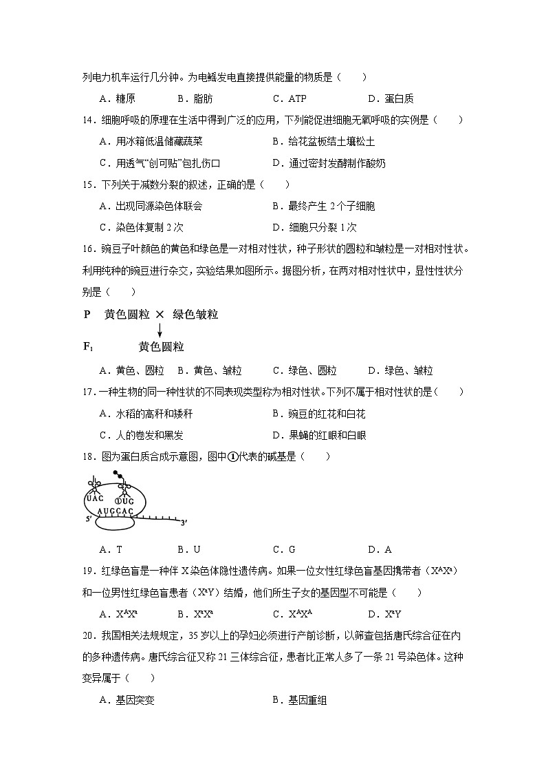 2025年1月福建省普通高中学业水平合格性考试生物试题（附答案解析）第3页