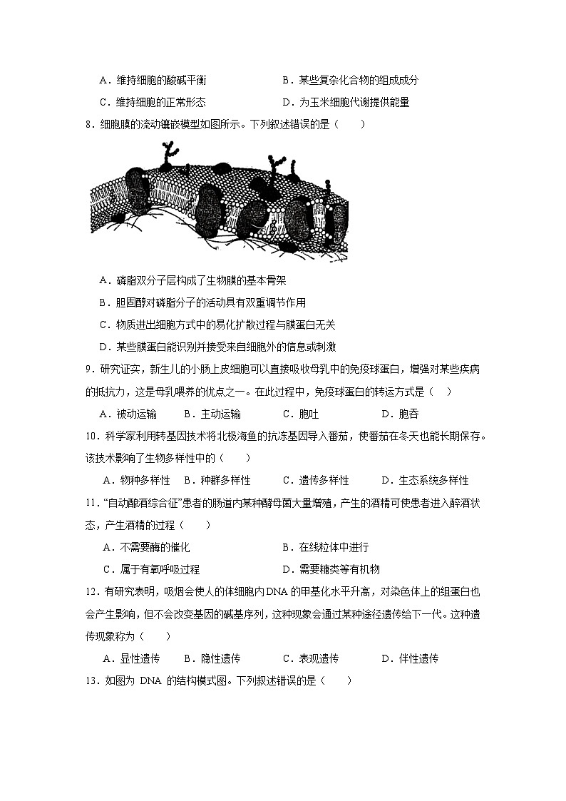 浙江省“桐—浦富兴”教研联盟2024-2025学年高一下学期6月学考模拟考试生物试题（附答案解析）第2页