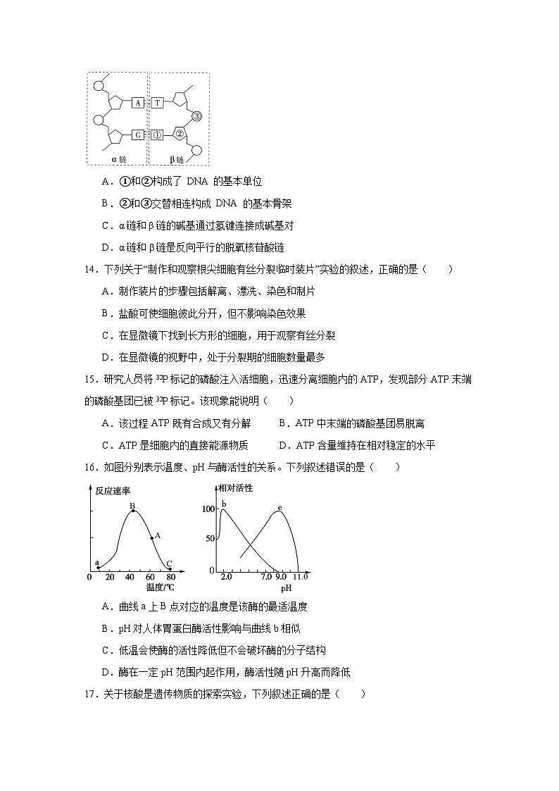 浙江省“桐—浦富兴”教研联盟2024-2025学年高一下学期6月学考模拟考试生物试题（附答案解析）第3页