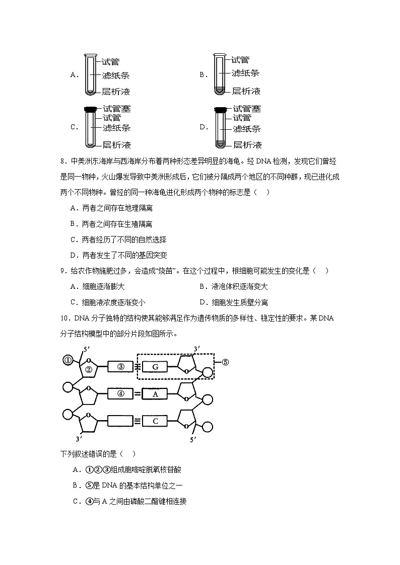 浙江省91高中联盟2024-2025学年高一下学期学业水平模拟考试生物试题（附答案解析）第2页