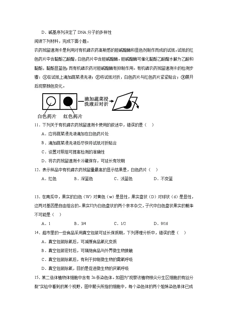 浙江省91高中联盟2024-2025学年高一下学期学业水平模拟考试生物试题（附答案解析）第3页