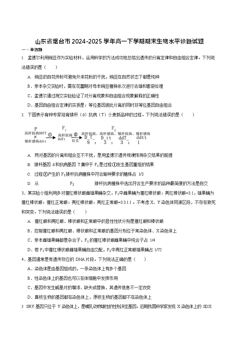 山东省烟台市2024-2025学年高一下学期期末测试生物试卷第1页