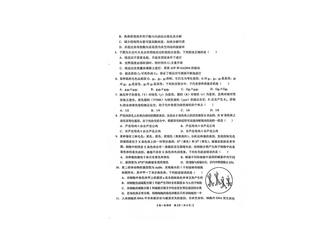 陕西省汉中市普通高中十校联盟2024-2025学年高一下学期期末考试 生物试卷第2页