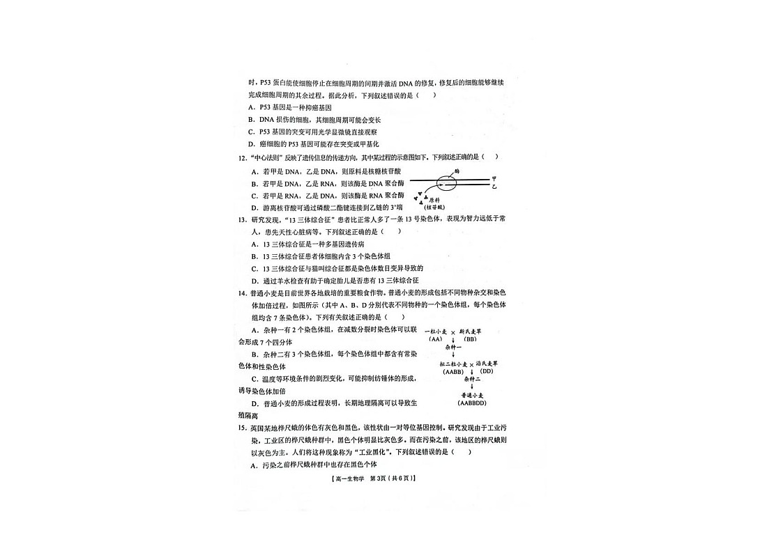 陕西省汉中市普通高中十校联盟2024-2025学年高一下学期期末考试 生物试卷第3页