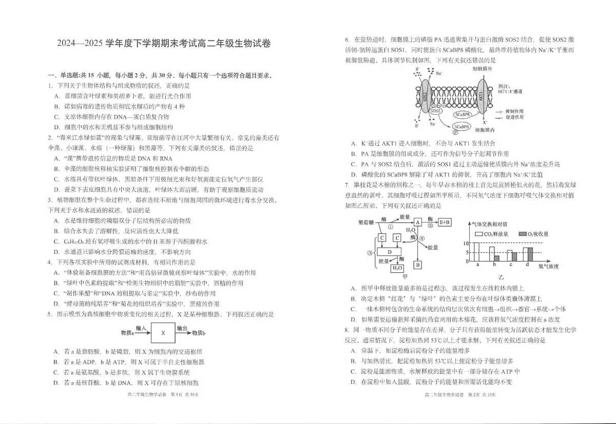 辽宁省五校联考2024-2025学年高二下学期7月期末考试生物试题（PDF版附答案）第1页