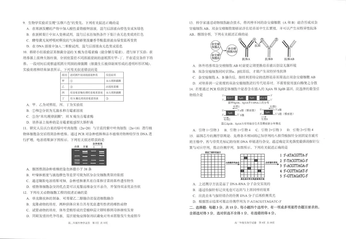 辽宁省五校联考2024-2025学年高二下学期7月期末考试生物试题（PDF版附答案）第2页