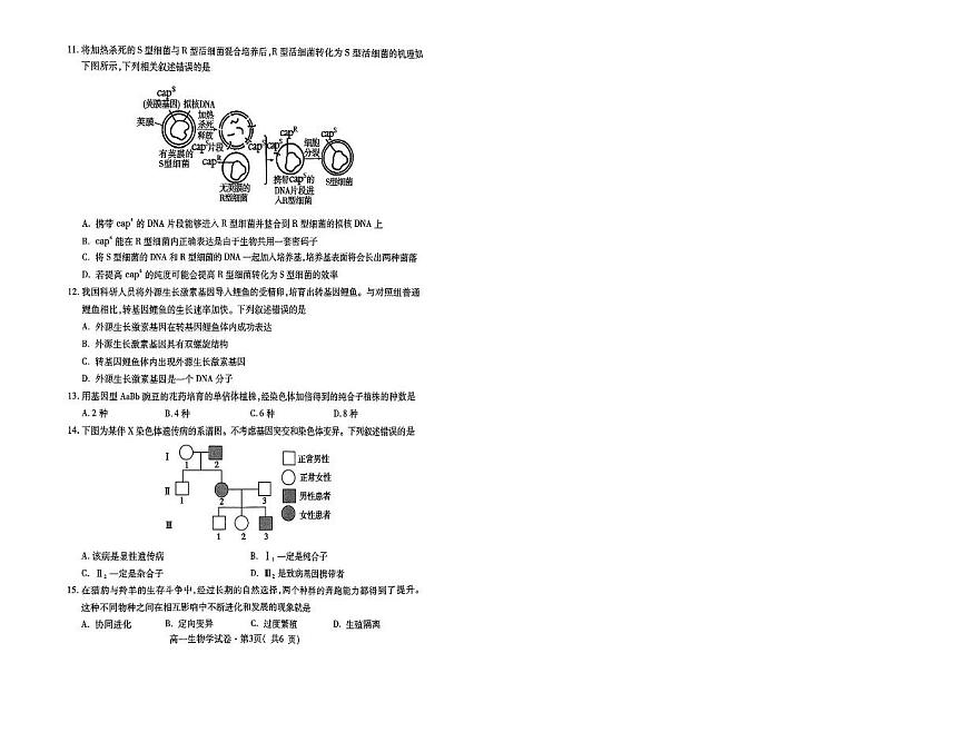 青海省西宁市2024-2025学年高一下学期期末考试生物试题（PDF版附答案）第2页