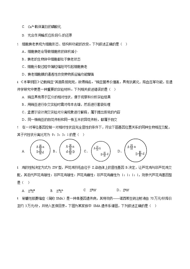 贵州省六盘水市2024-2025学年高一下学期期末测试生物试卷第2页