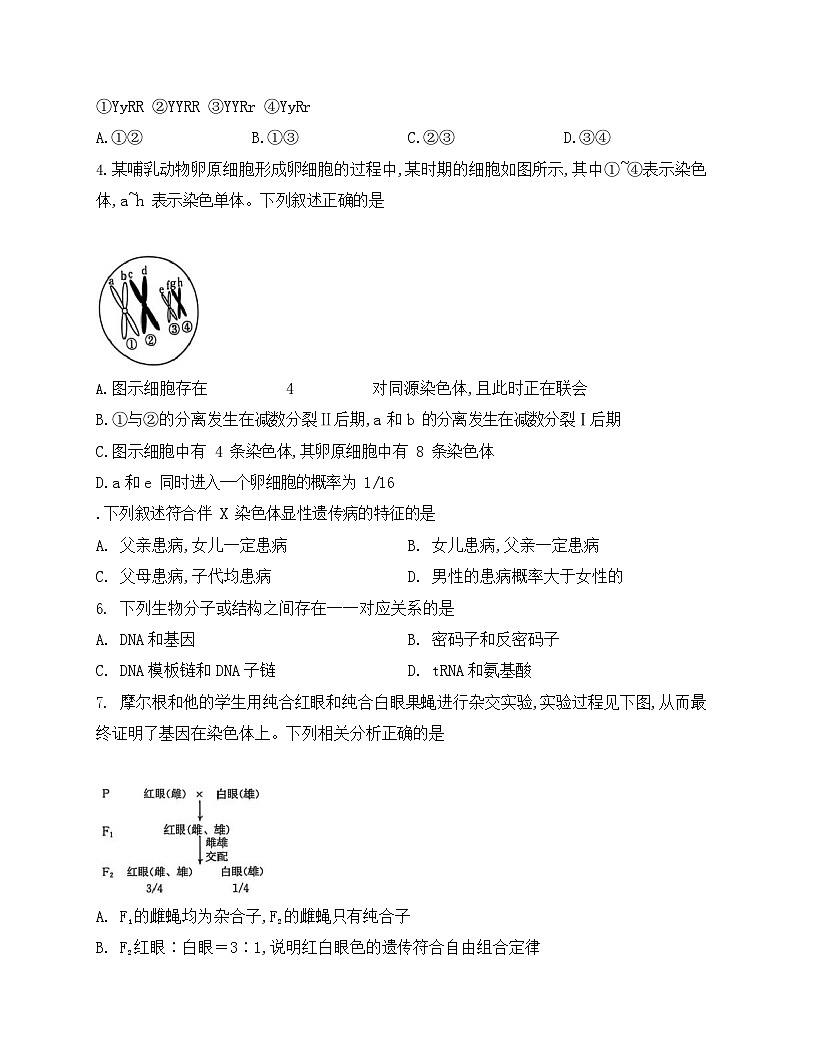 吉林省长春市农安县第十中学2024-2025学年高一下学期期末考试生物试卷第2页