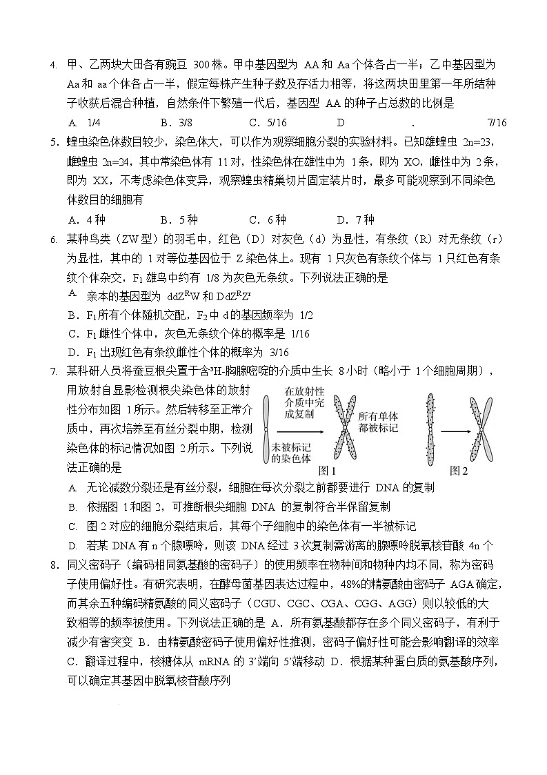 山东省菏泽市2024-2025学年高一下学期教学检测（期末）生物学试卷第2页