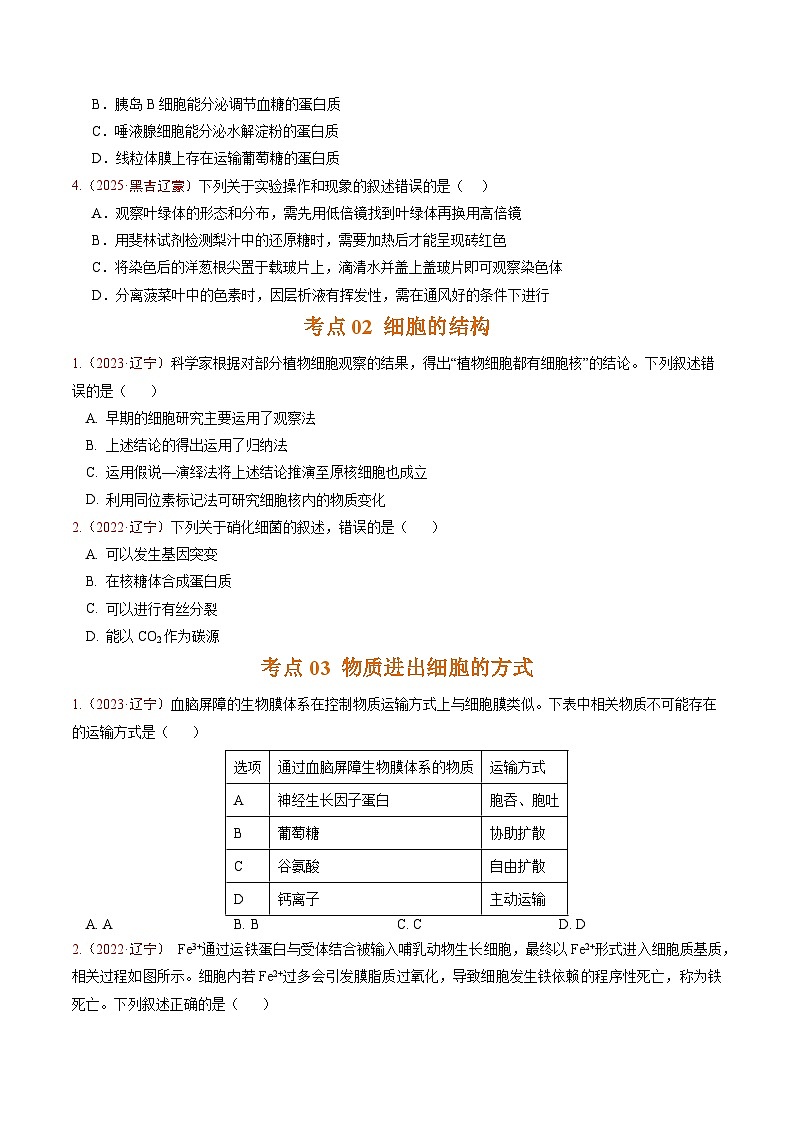 5年（2021-2025）高考1年模拟生物真题分类汇编专题01 细胞的分子组成、结构及物质运输（原卷版）（黑吉辽蒙专用）第2页
