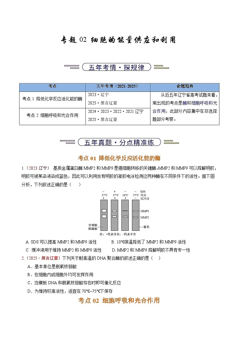5年（2021-2025）高考1年模拟生物真题分类汇编专题02 细胞的能量供应和利用（原卷版）（黑吉辽蒙专用）第1页
