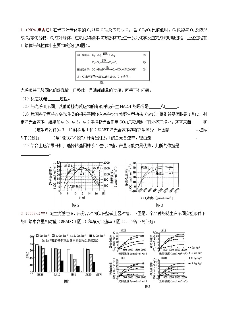 5年（2021-2025）高考1年模拟生物真题分类汇编专题02 细胞的能量供应和利用（原卷版）（黑吉辽蒙专用）第2页