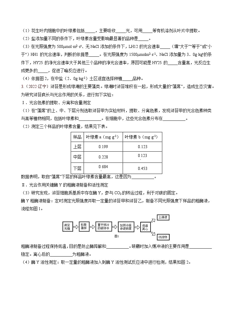 5年（2021-2025）高考1年模拟生物真题分类汇编专题02 细胞的能量供应和利用（原卷版）（黑吉辽蒙专用）第3页