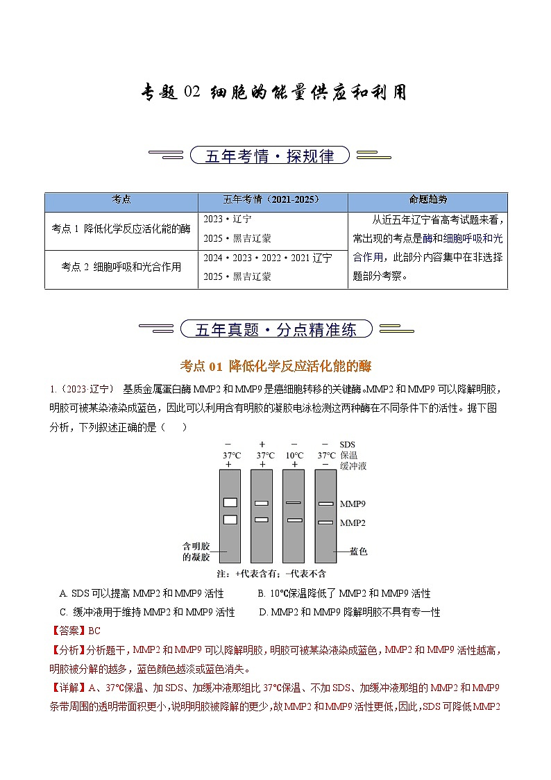 5年（2021-2025）高考1年模拟生物真题分类汇编专题02 细胞的能量供应和利用（解析版）（黑吉辽蒙专用）第1页