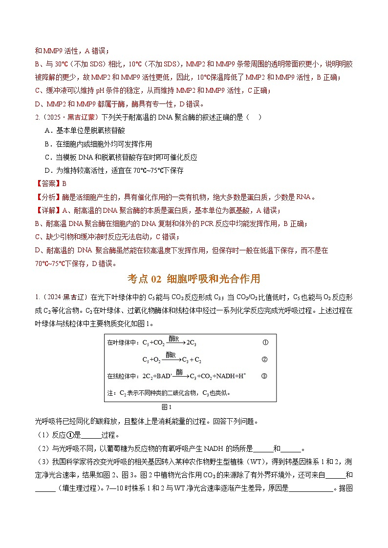 5年（2021-2025）高考1年模拟生物真题分类汇编专题02 细胞的能量供应和利用（解析版）（黑吉辽蒙专用）第2页