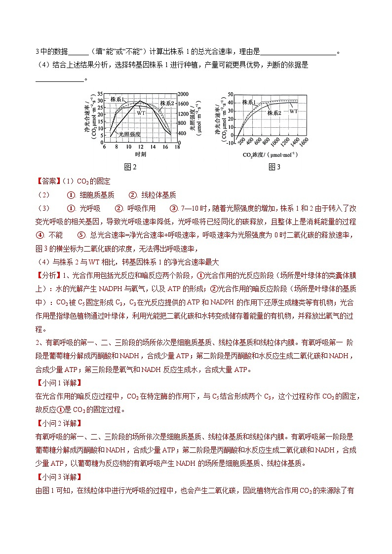5年（2021-2025）高考1年模拟生物真题分类汇编专题02 细胞的能量供应和利用（解析版）（黑吉辽蒙专用）第3页