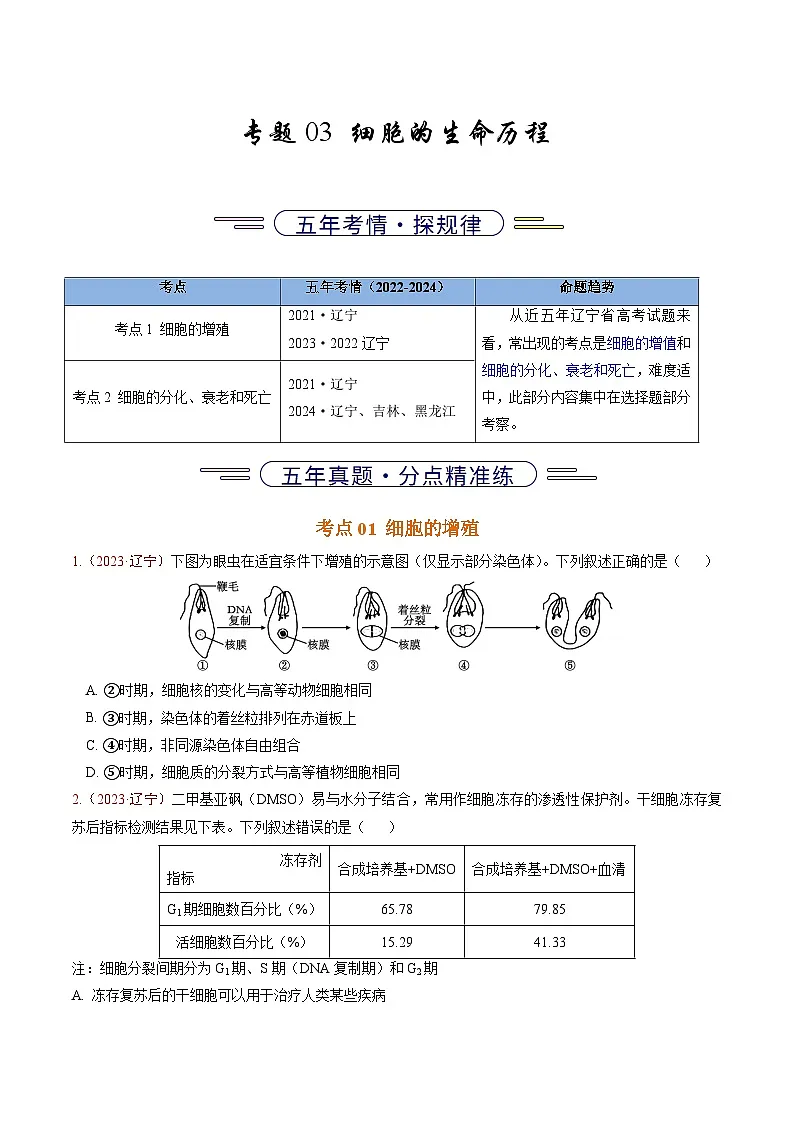 5年（2021-2025）高考1年模拟生物真题分类汇编专题03 细胞的生命历程（原卷版）（黑吉辽蒙专用）第1页