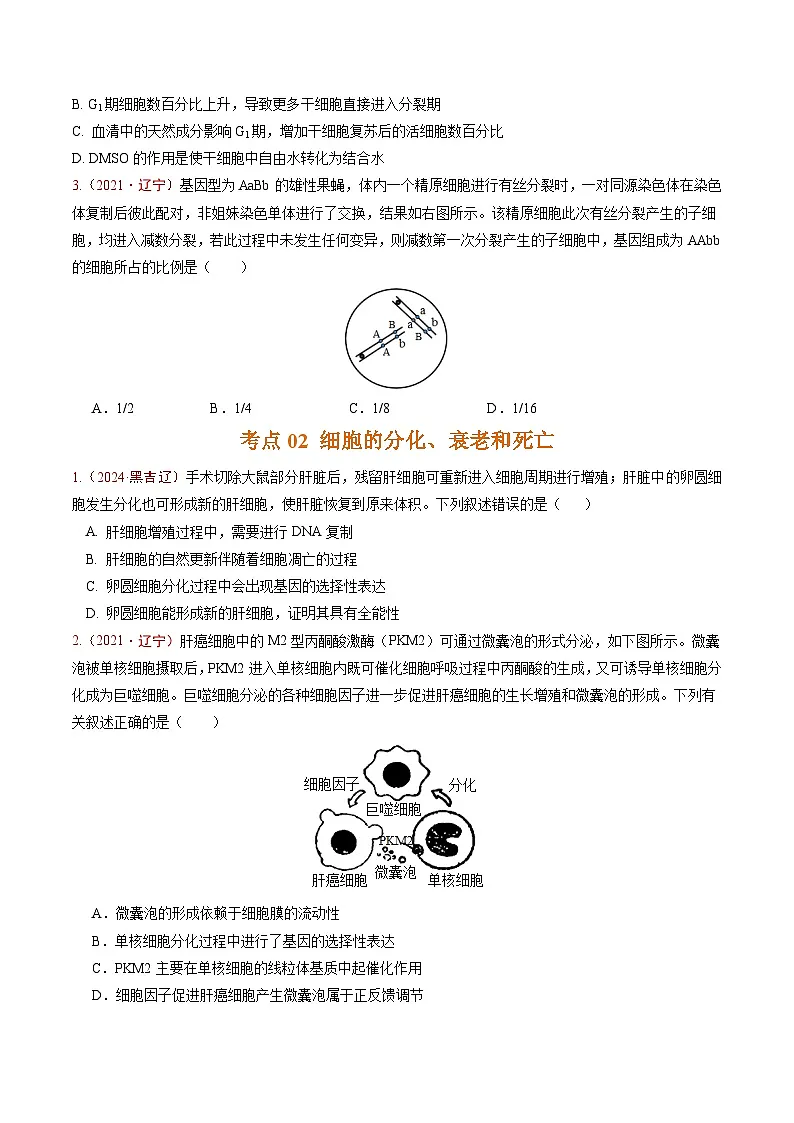 5年（2021-2025）高考1年模拟生物真题分类汇编专题03 细胞的生命历程（原卷版）（黑吉辽蒙专用）第2页