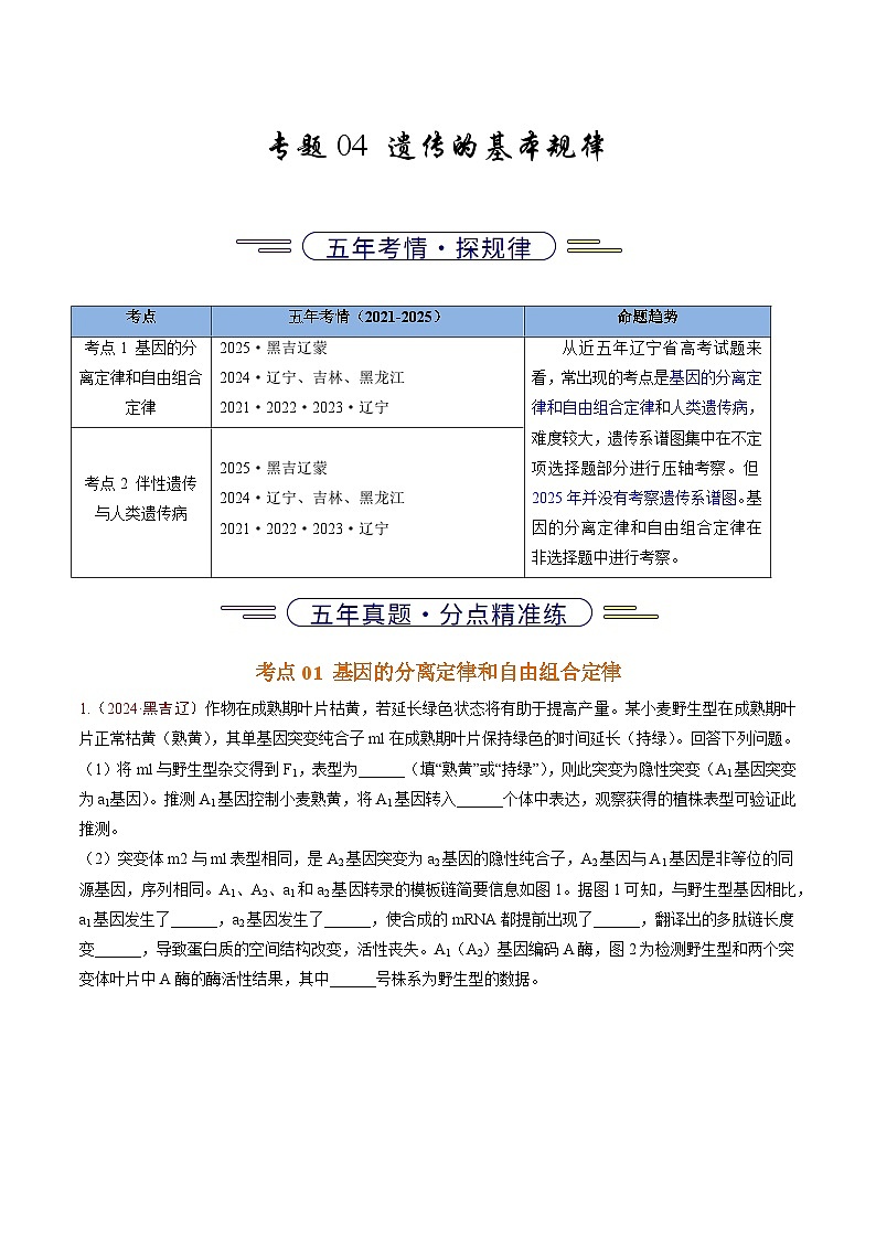 5年（2021-2025）高考1年模拟生物真题分类汇编专题04 遗传的基本规律（原卷版）（黑吉辽蒙专用）第1页