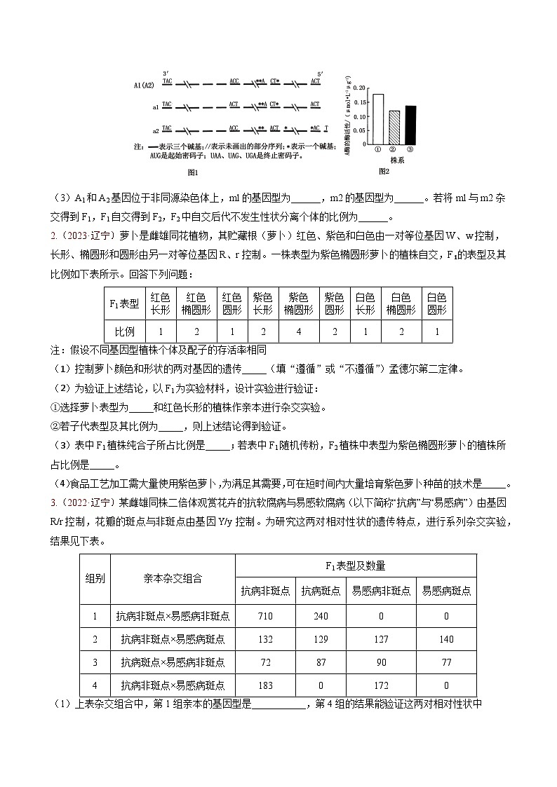 5年（2021-2025）高考1年模拟生物真题分类汇编专题04 遗传的基本规律（原卷版）（黑吉辽蒙专用）第2页