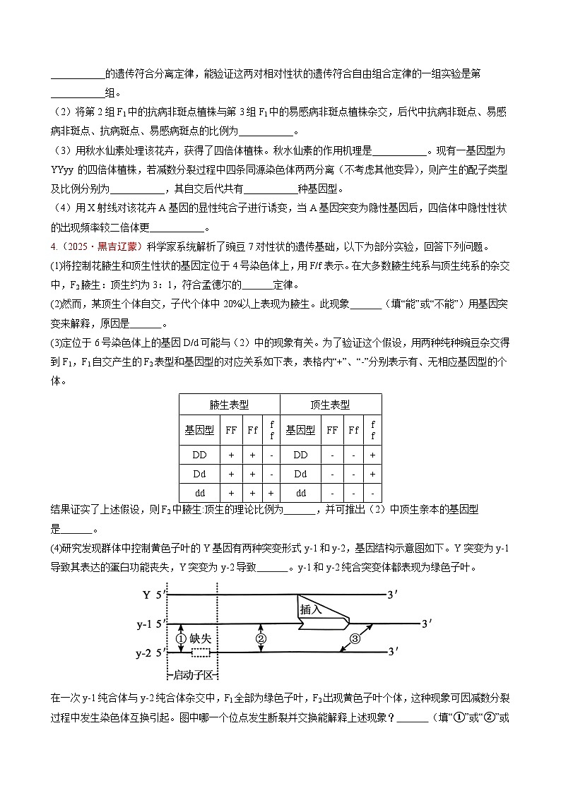 5年（2021-2025）高考1年模拟生物真题分类汇编专题04 遗传的基本规律（原卷版）（黑吉辽蒙专用）第3页