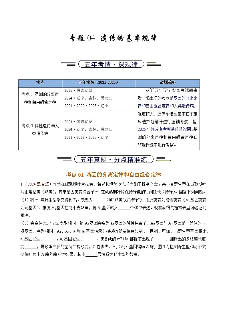 5年（2021-2025）高考1年模拟生物真题分类汇编专题04 遗传的基本规律（解析版）（黑吉辽蒙专用）第1页