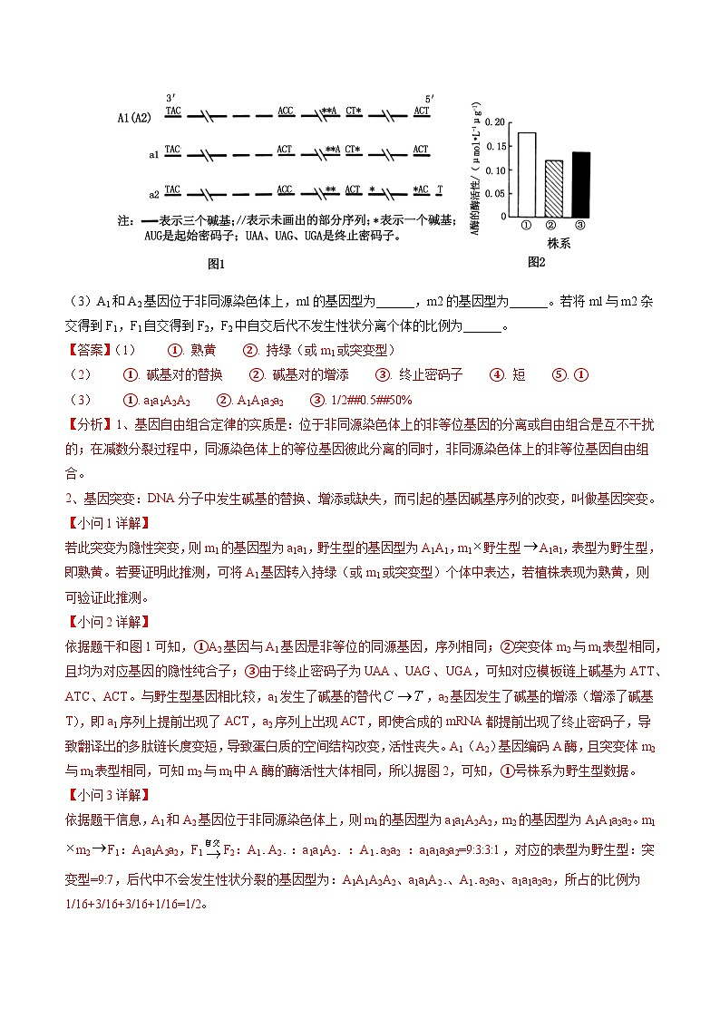 5年（2021-2025）高考1年模拟生物真题分类汇编专题04 遗传的基本规律（解析版）（黑吉辽蒙专用）第2页