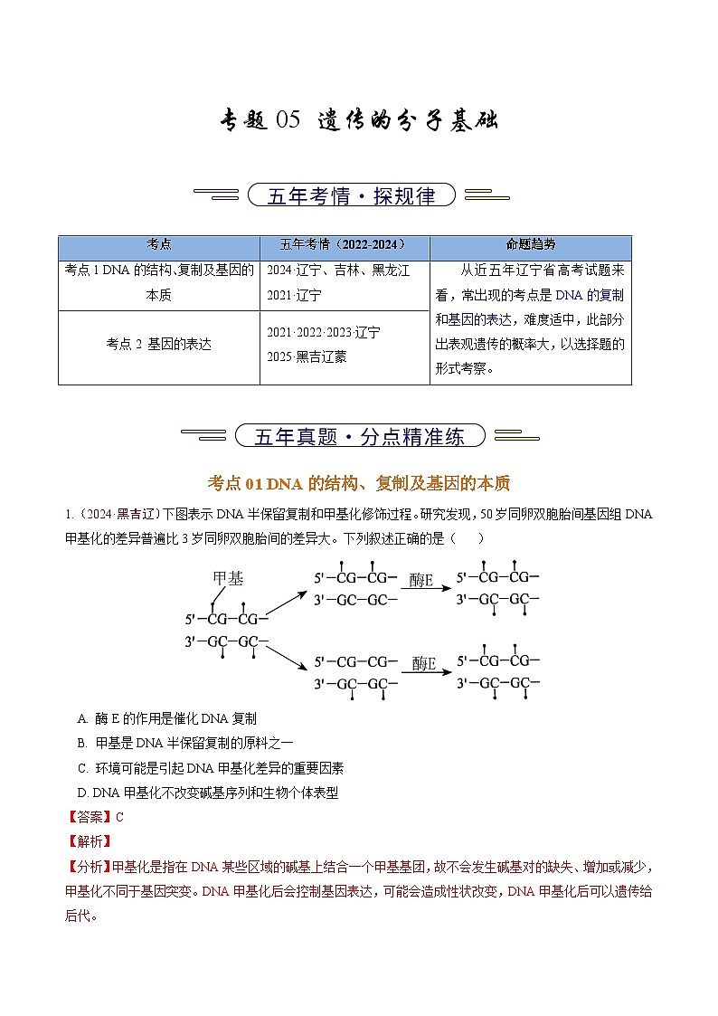 5年（2021-2025）高考1年模拟生物真题分类汇编专题05 遗传的分子基础（解析版）（黑吉辽蒙专用）第1页