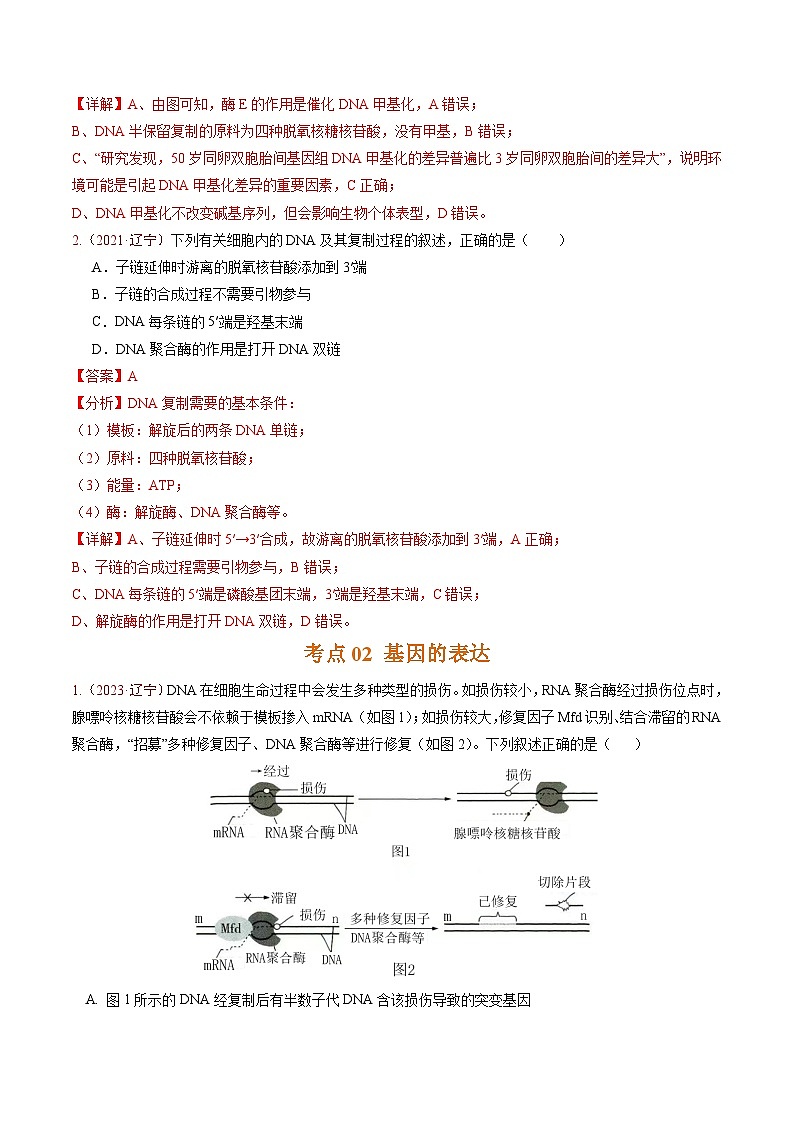 5年（2021-2025）高考1年模拟生物真题分类汇编专题05 遗传的分子基础（解析版）（黑吉辽蒙专用）第2页