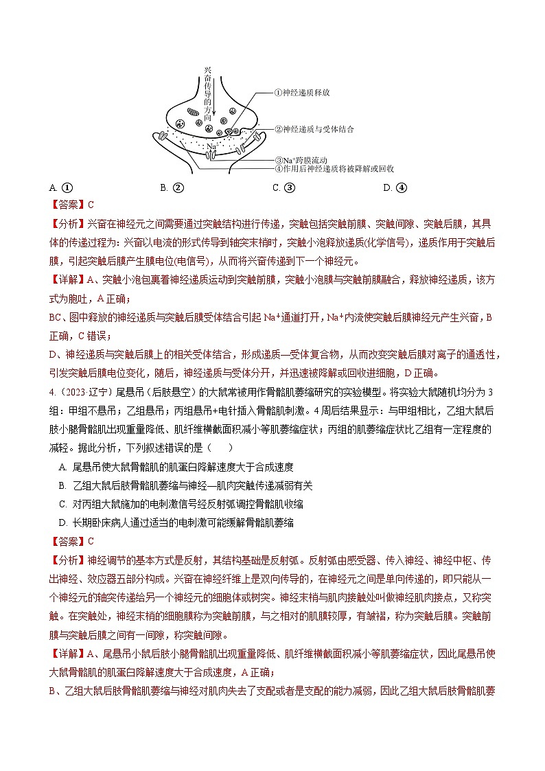 5年（2021-2025）高考1年模拟生物真题分类汇编专题07 稳态与调节（解析版）（黑吉辽蒙专用）第3页