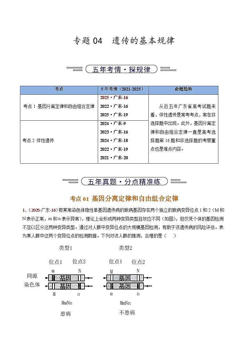 5年（2021-2025）高考1年模拟生物真题分类汇编专题04 遗传的基本规律（原卷版）（广东专用）第1页