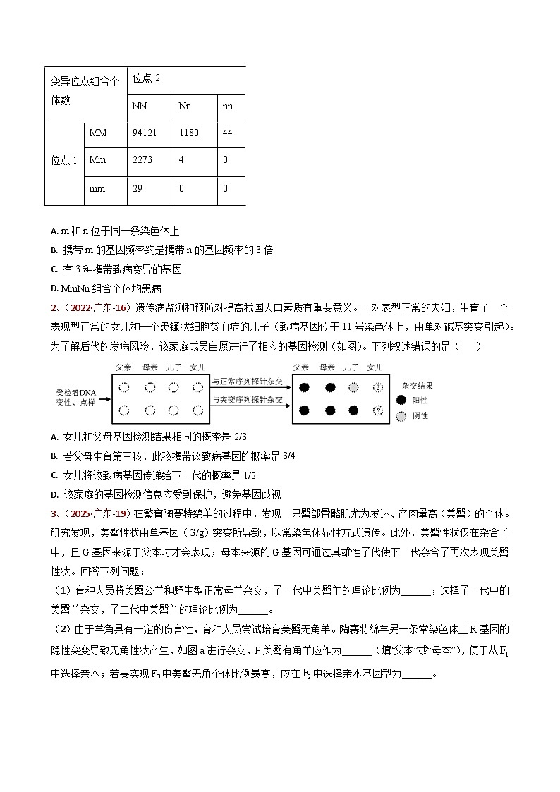 5年（2021-2025）高考1年模拟生物真题分类汇编专题04 遗传的基本规律（原卷版）（广东专用）第2页