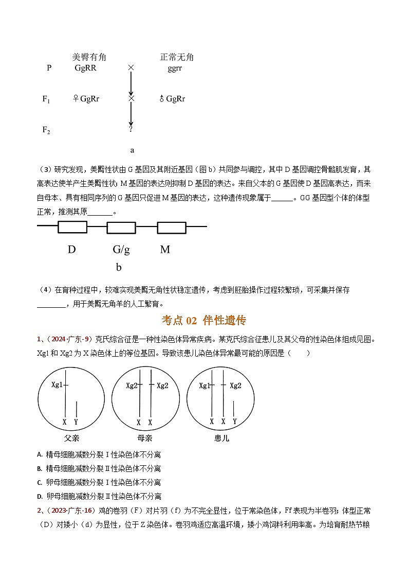 5年（2021-2025）高考1年模拟生物真题分类汇编专题04 遗传的基本规律（原卷版）（广东专用）第3页