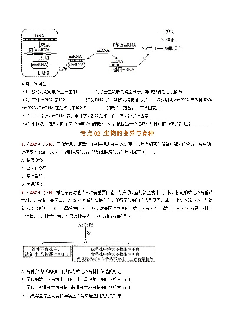 5年（2021-2025）高考1年模拟生物真题分类汇编专题05 遗传的分子基础及生物的变异与进化（原卷版）（广东专用）第3页