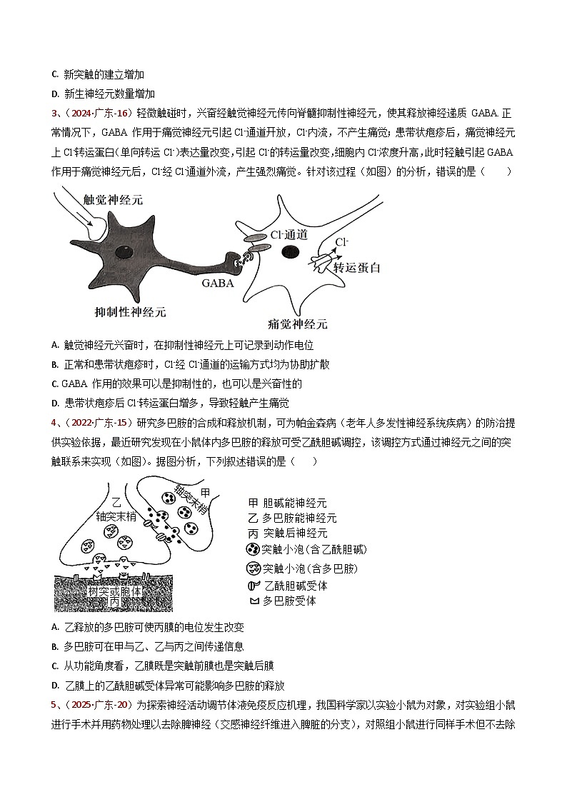 5年（2021-2025）高考1年模拟生物真题分类汇编专题06 神经-体液调节（原卷版）（广东专用）第2页