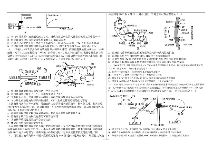 2025届河北省衡水二中高三下学期10月综合素养测评（一）-生物试题（含答案）第2页