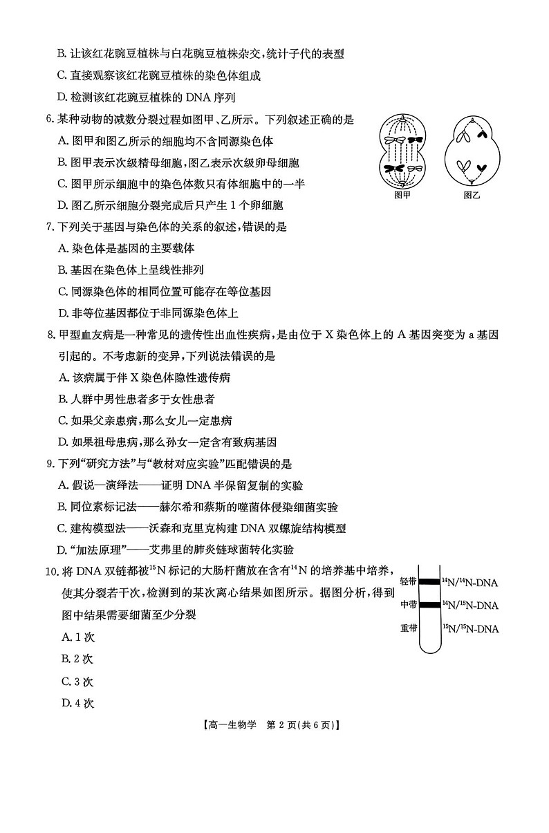 辽宁省辽阳市2024-2025学年高一下学期期末考试 生物试卷第2页